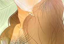 完结版《浮生未白首》章节目录在线阅读-给力文学