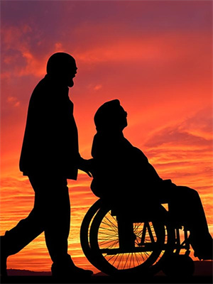 沈曼叶清禾小说奖学金公示后，我成了学术妲己在线阅读