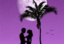 结婚前夕，未婚夫在给心理医生当狗章节免费在线阅读，陆瑾礼梁雨完结版-给力文学