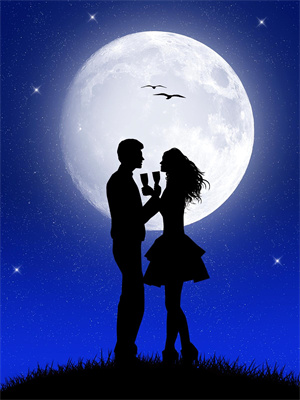 失歌秦夜白安歌小说在线章节免费阅读