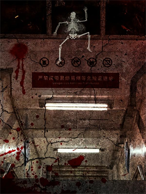 完结版《双十一直播遭同事背刺，我甩手不干老板先慌了》在线免费阅读